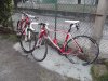 DSCF2129.jpg