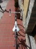 20130310_120715.jpg