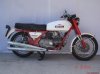 guzzi falcone.jpg guzzi falcone.jpg