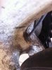 ImageUploadedByTapatalk1363882664.343655.jpg