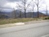 DSCN1322.jpg