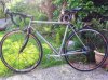 20130423_173720.jpg
