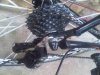 IMG00356-20130425-1622.jpg