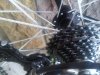 IMG00359-20130425-1623.jpg
