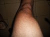 DSCN2691.jpg