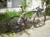 2013-05-08 11.50.11.jpg