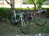 Oltre HC_ SL4 Pro.jpg