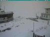 stelvio.jpg