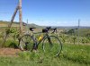 lynskey2.jpg