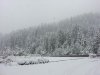 20130524_072453.jpg