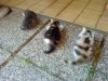DSC00045.jpg