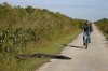 bici animali 48.jpg