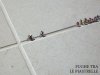 arredo 1003.jpg