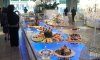 2013-06-27 19.12.45.jpg