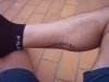 Tribal_Chainring.jpg