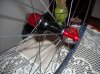 DSCN2766-6.jpg