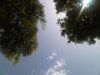 IMG00528-20130808-1241.jpg