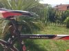 IMG-20130828-WA0000.jpg