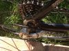 IMG-20130828-WA0002.jpg