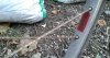 20130815_120917.jpg