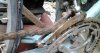 20130815_120406.jpg
