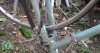 20130815_121419.jpg
