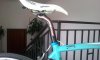 20130920_122909.jpg