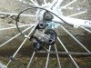 DSC03219.JPG