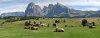 alpe-di-siusi.jpg