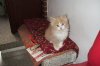 DSCF0658.jpg