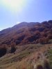 IMG_20131017_143229.jpg