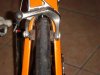 DSC05864.jpg