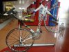 cipollini.jpg
