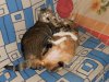 DSCN2472.jpg