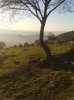 20131130_154724.jpg