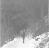 MORTIROLO 2 001.jpg