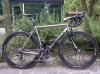 Pro3-5.jpg