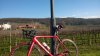 WP_20140126_10_42_12_Pro.jpg