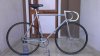 IMAG0548.jpg