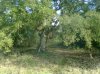 Foto0495.jpg