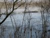 scorre il fiume.jpg