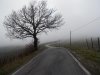 DSCN0658.jpg