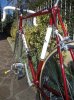 DSCN0895.jpg