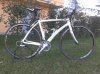Treviso 01.jpg