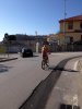1972318_10203242313287752_278560269_n.jpg