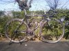 WP_000371.jpg