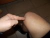 DSCN0607.jpg