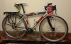 single speed.jpg