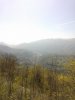 WP_000742.jpg