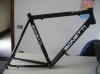 Bonetti Al (800x600).jpg
